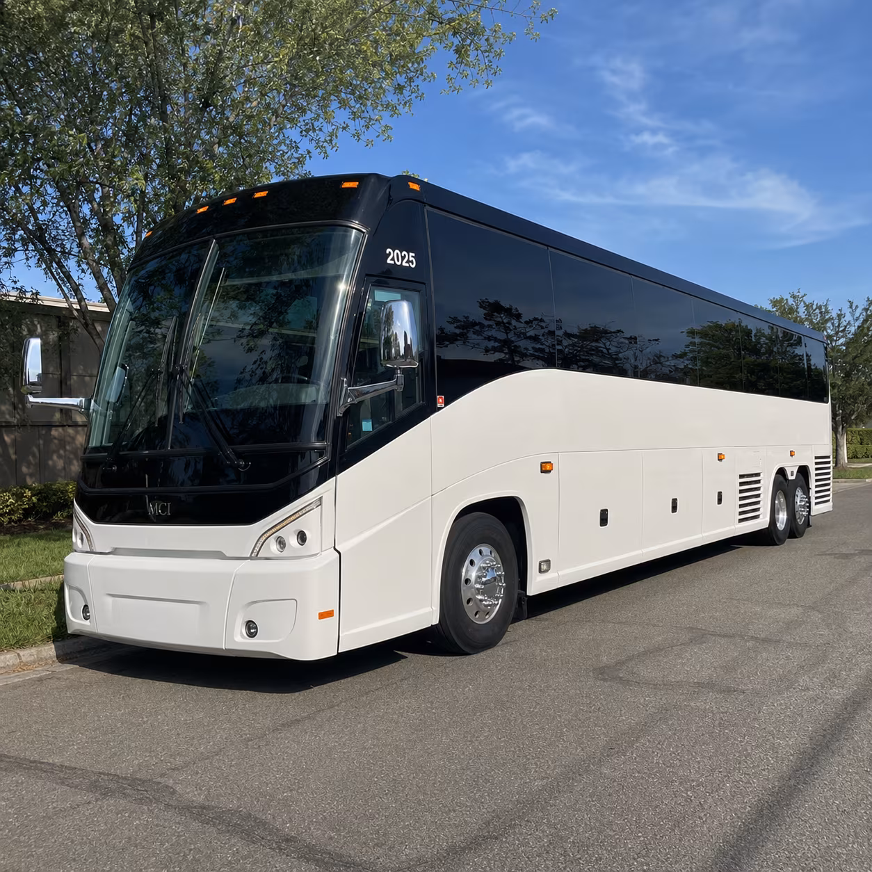 fan travel and sports group charters out of memphis